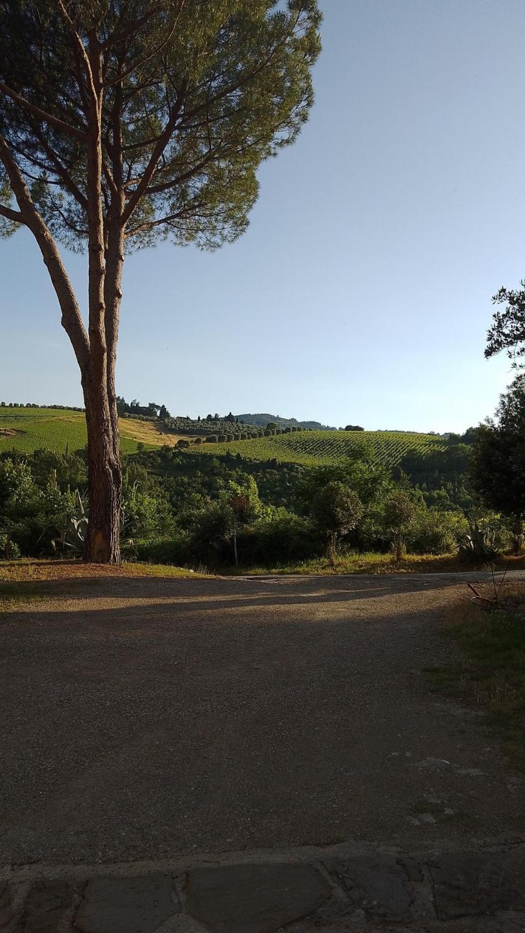La Turra - Casa Di Campagna Greve in Chianti Exterior foto